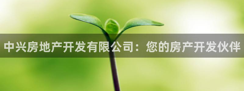 永利属于哪个集团