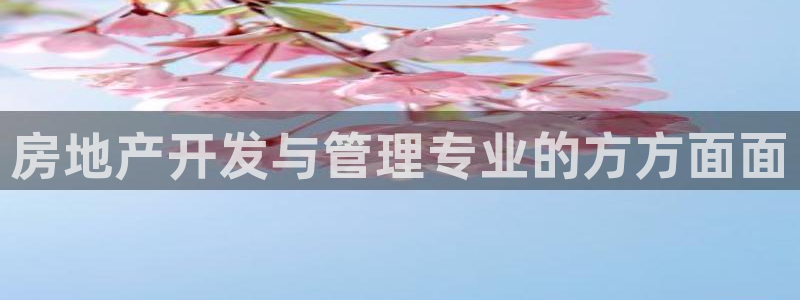 佛山永利工业皮带厂怎么样