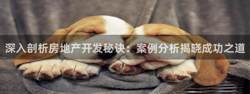 永利网是干什么的,能挣到钱吗安全吗