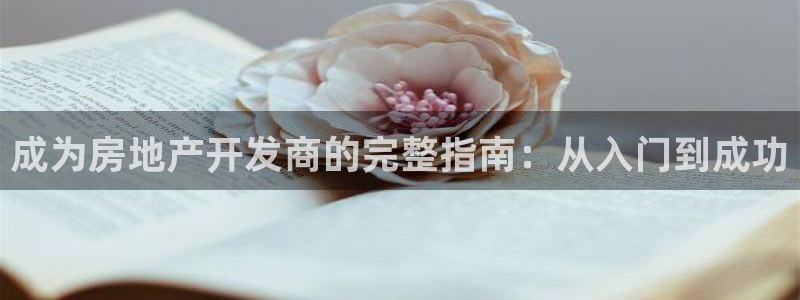 永利是啥意思