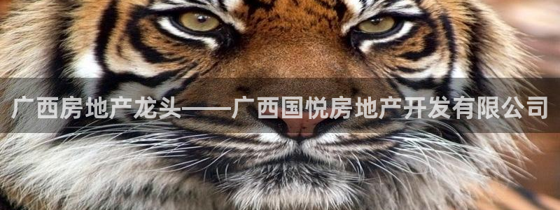 滨州永利顺运输有限公司