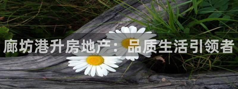 永利表行为什么那么便宜