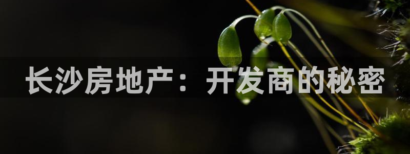 永利网是不是真的
