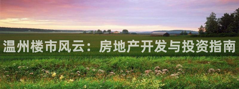 永利皮带型号说明书图片