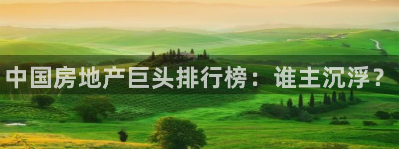 苏州金沙永利