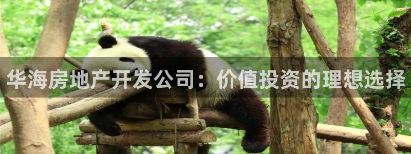 永利官网服务承诺