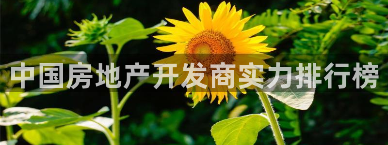 永利信誉网址