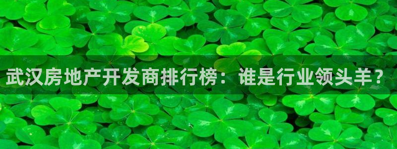 永利每月送30