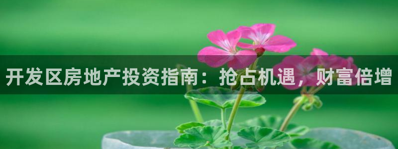 永利股份做什么