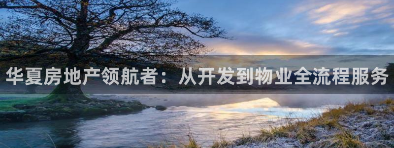 永利金控控股有限公司