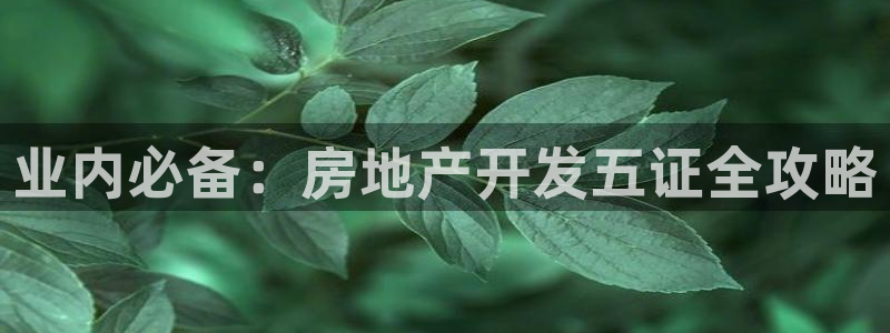 永利集团简介概况