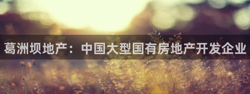 为什么永利会打不开了