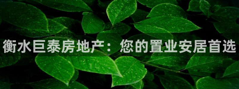 永利带业股票