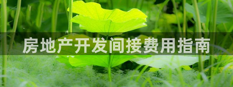 永利皮带官网旗舰店是正品吗