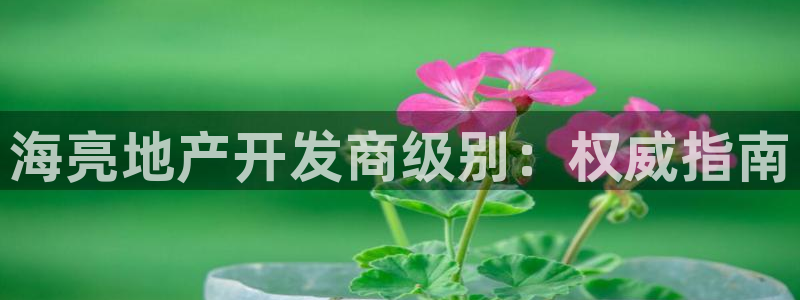 永利包装有限公司