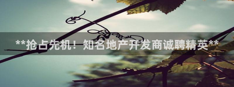 永利皮带型号说明图解