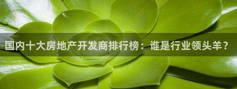永利杯掼蛋比赛