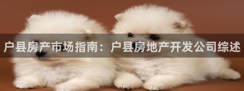 永利被黑不给出款解决方法