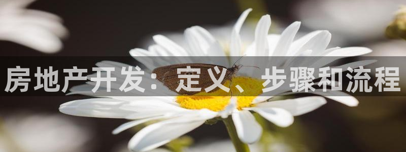 永利中国股票