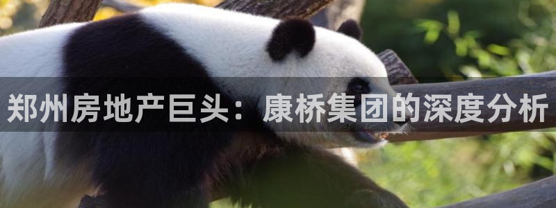 永利酒店官网