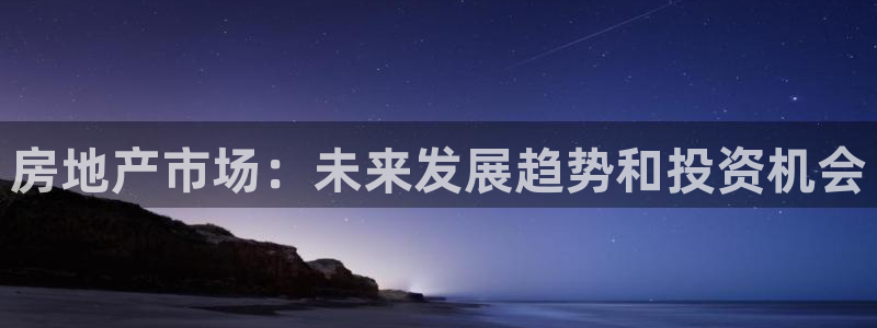 永利房地产开发有限公司
