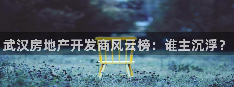 永利制带有限公司