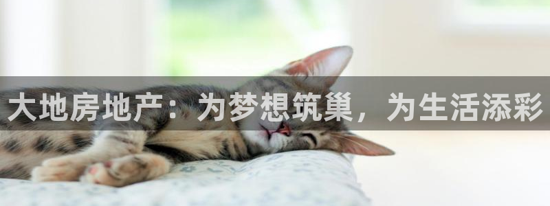 永利 股票