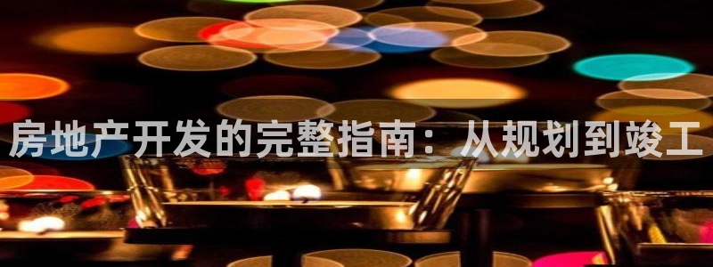 永利地产工程有限公司