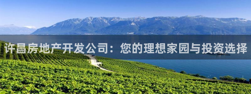 永利总裁