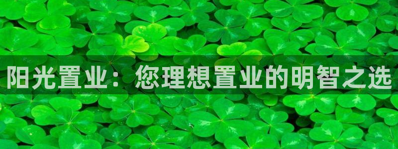 永利置业