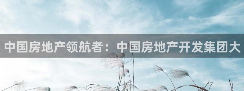 金沙永利夜总会怎么样