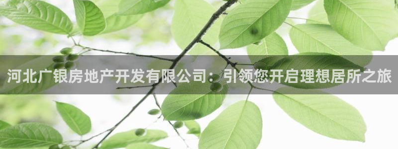 佛山永利工业皮带