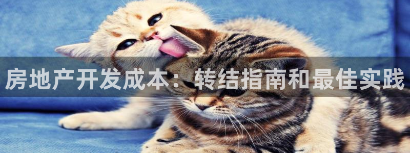 永利家具厂怎么样