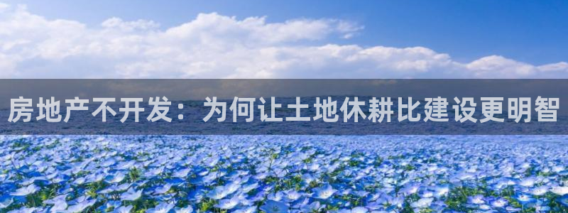 永利汇团购