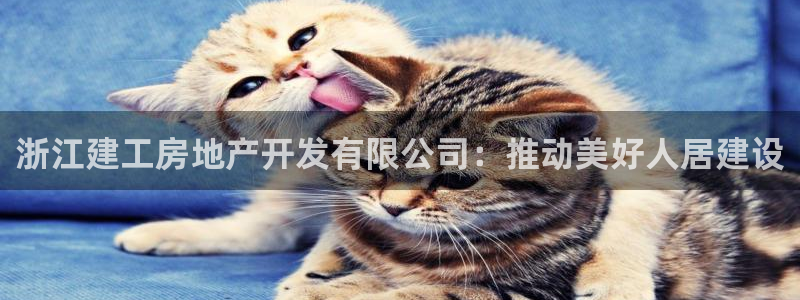 佛山永利工业皮带有限公司