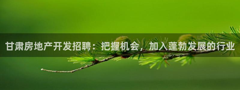 永利房地产有限公司董事长是谁