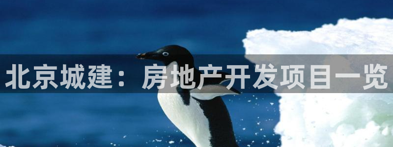 永利能源开发有限公司
