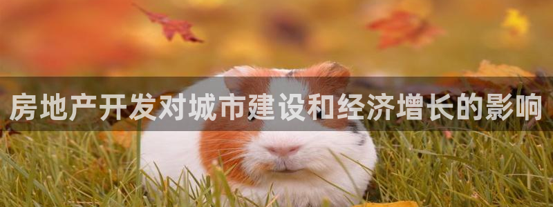 永利游乐城网址查询