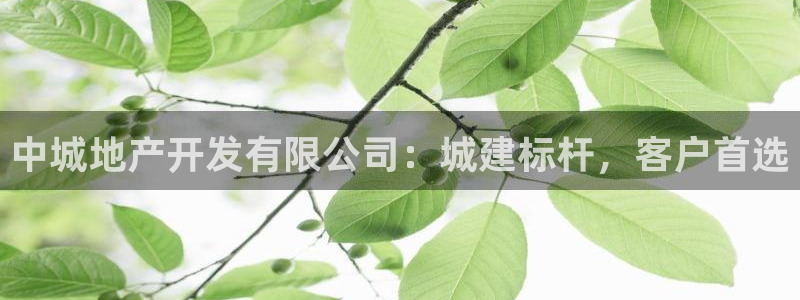 永利铔厂总技师长
