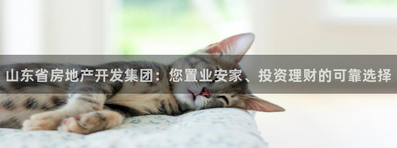 澳门永利陈志玲什么地方人