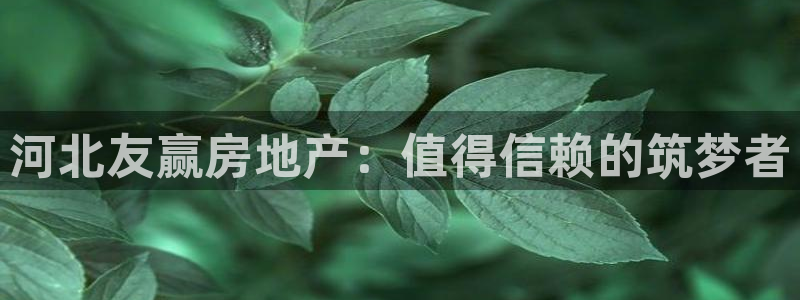 永利皇府黄立青个人资料