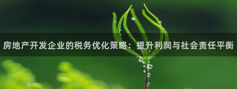 永利网是不是真的假的