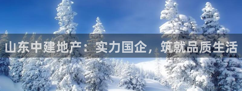 永利地产