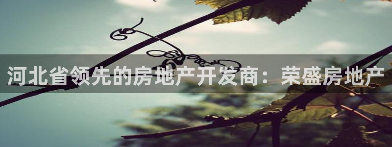 永利官网可信吗