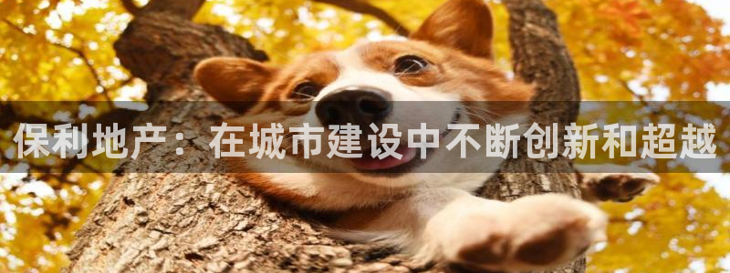 莱州永利集团