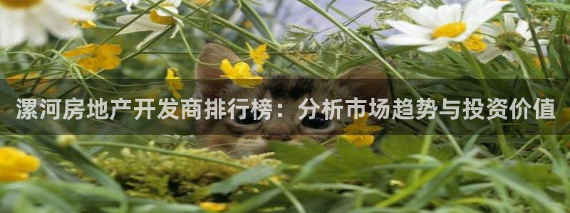 永利网是不是真的便宜