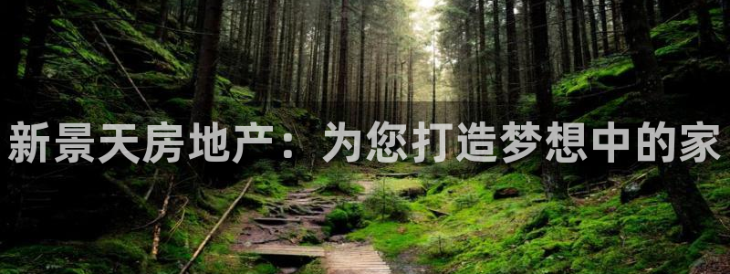 永利提不了款怎么办
