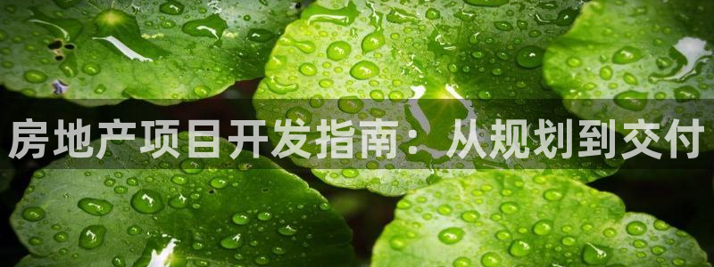 永利股票300230