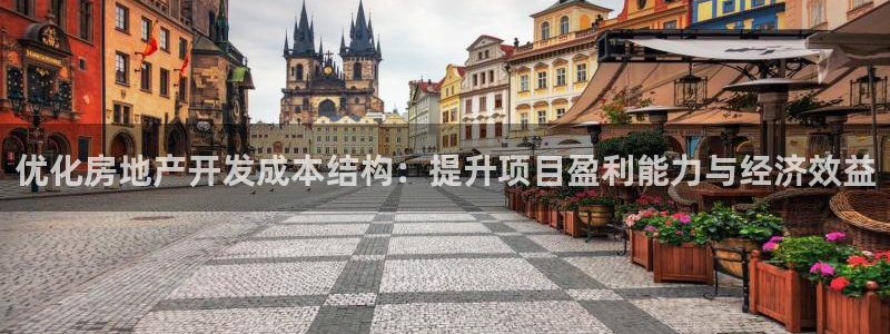 永利房地产有限公司董事长是谁