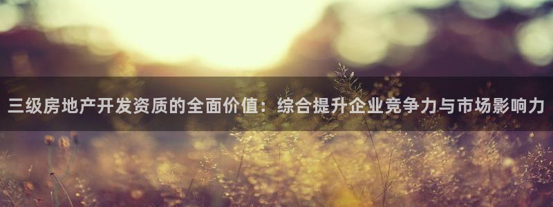 永利金文化有限公司